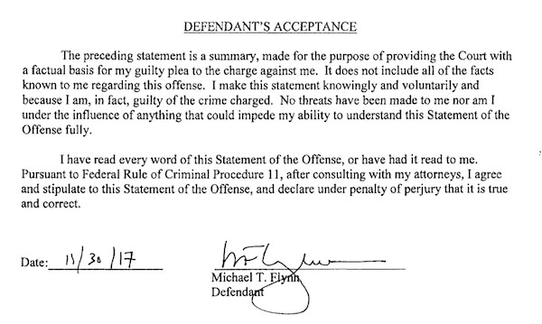 Statement of Offense Signature